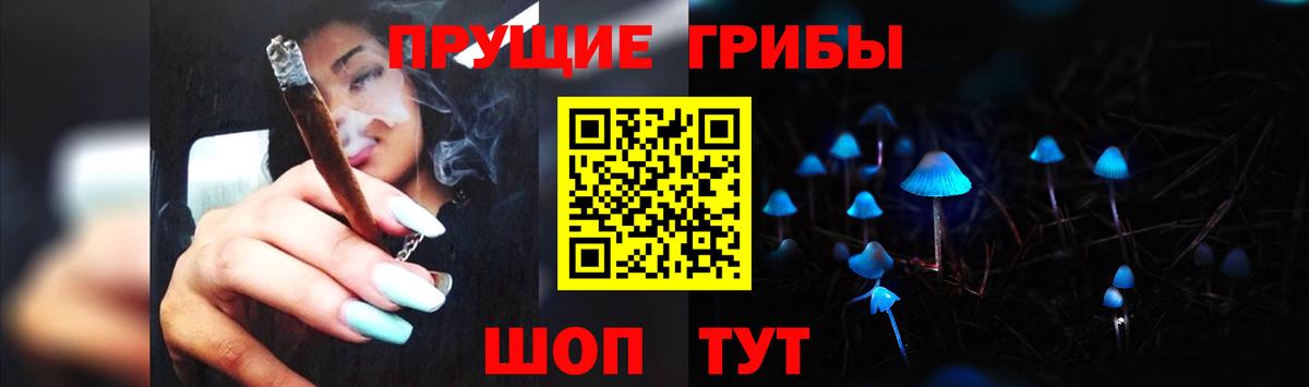 Галлюциногенные грибы Psilocybe  Псилоцибиновые грибы MAGIC MUSHROOMS  Кудрово  где найти   Вход с VPN 